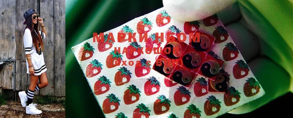 ПСИЛОЦИБИНОВЫЕ ГРИБЫ Беломорск