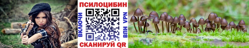 Галлюциногенные грибы прущие грибы  Коркино 